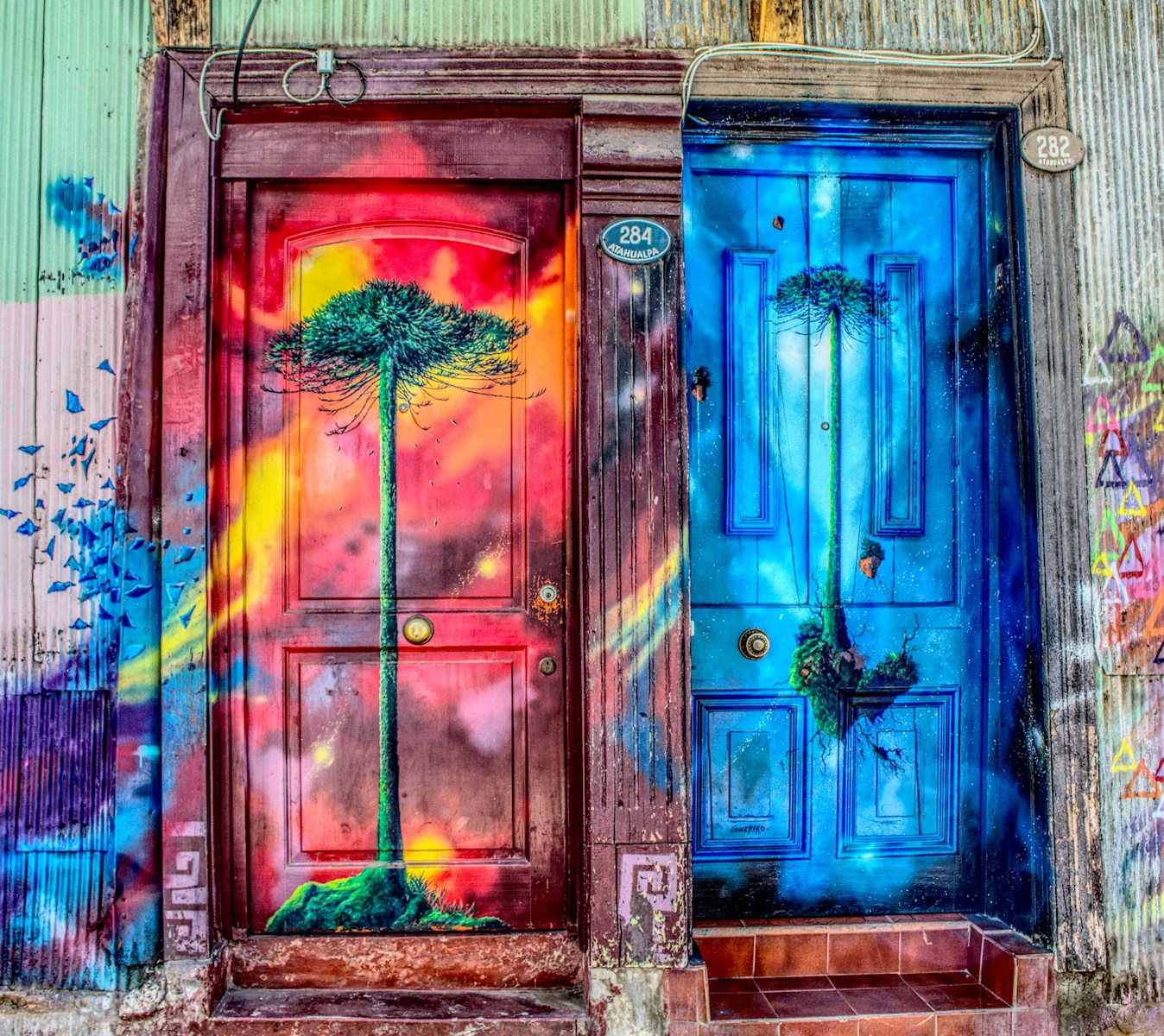 Photo by Luis Alfonso Orellana tree printed and multicolored closed doors