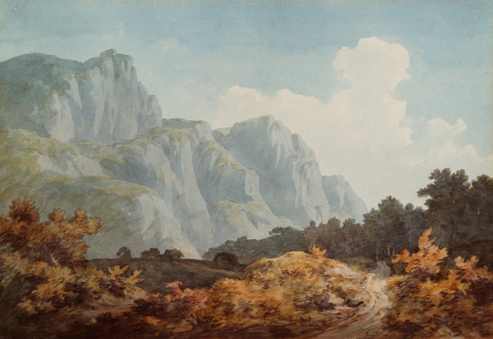 Photo by Birmingham Museums Trust brown and grey trees and rock formation painting